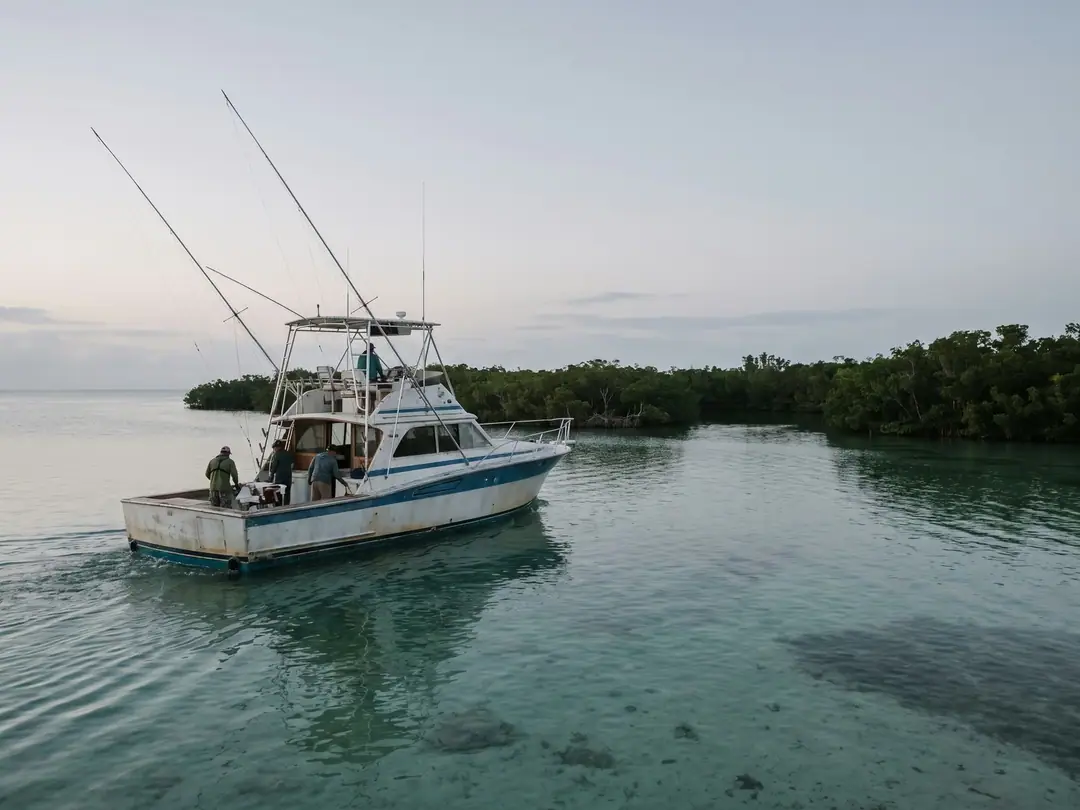 A charter fishing boat heading out from a Florida Keys harbor at dawn.
