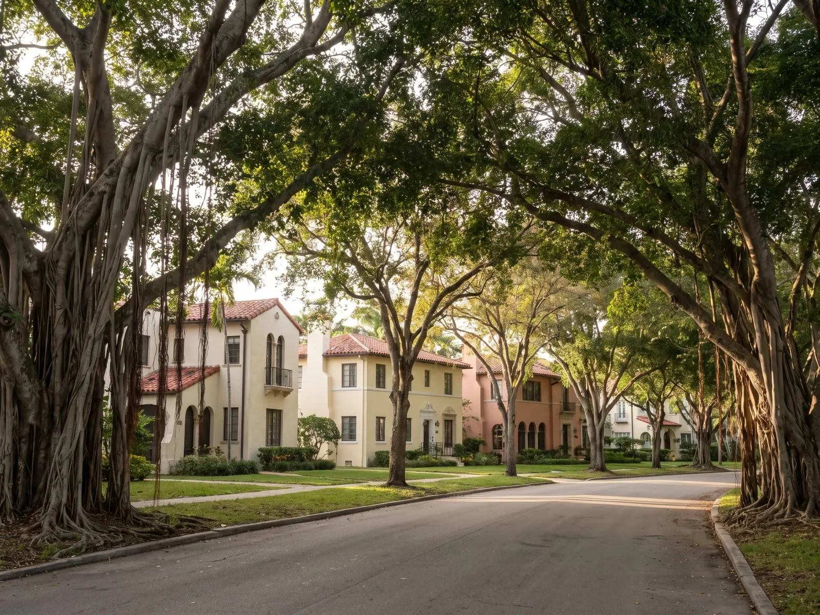 A tree-lined Coral Gables street with Mediterranean Revival homes and banyan trees.