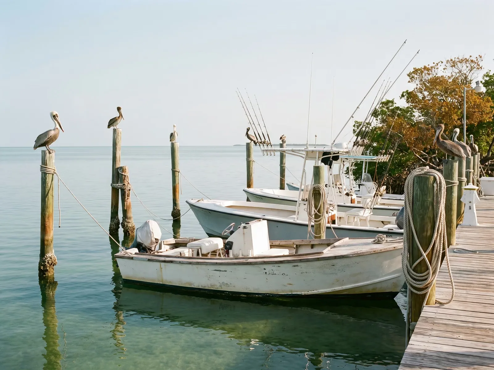 Charter fishing boats moored at a wooden marina dock in the Florida Keys.